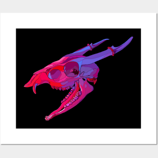 Muntjac Deer Skull Posters and Art